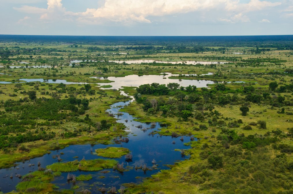 Delta Okavango