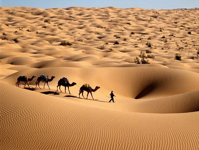 De største afrikanske ørkenene