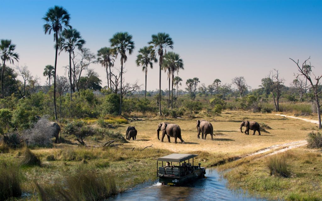 nationale parken in Afrika