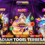 🌐Bandar Live Casino Resmi 2025 dengan Bonus Terbesar dan Tips Prediksi Jitu💯